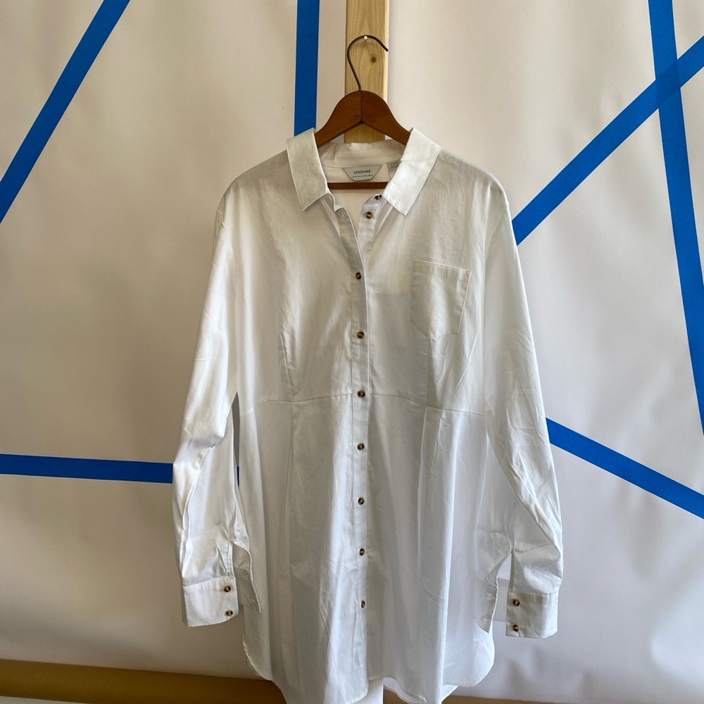 Seraphine Tailored Maternity Button Down Blouse